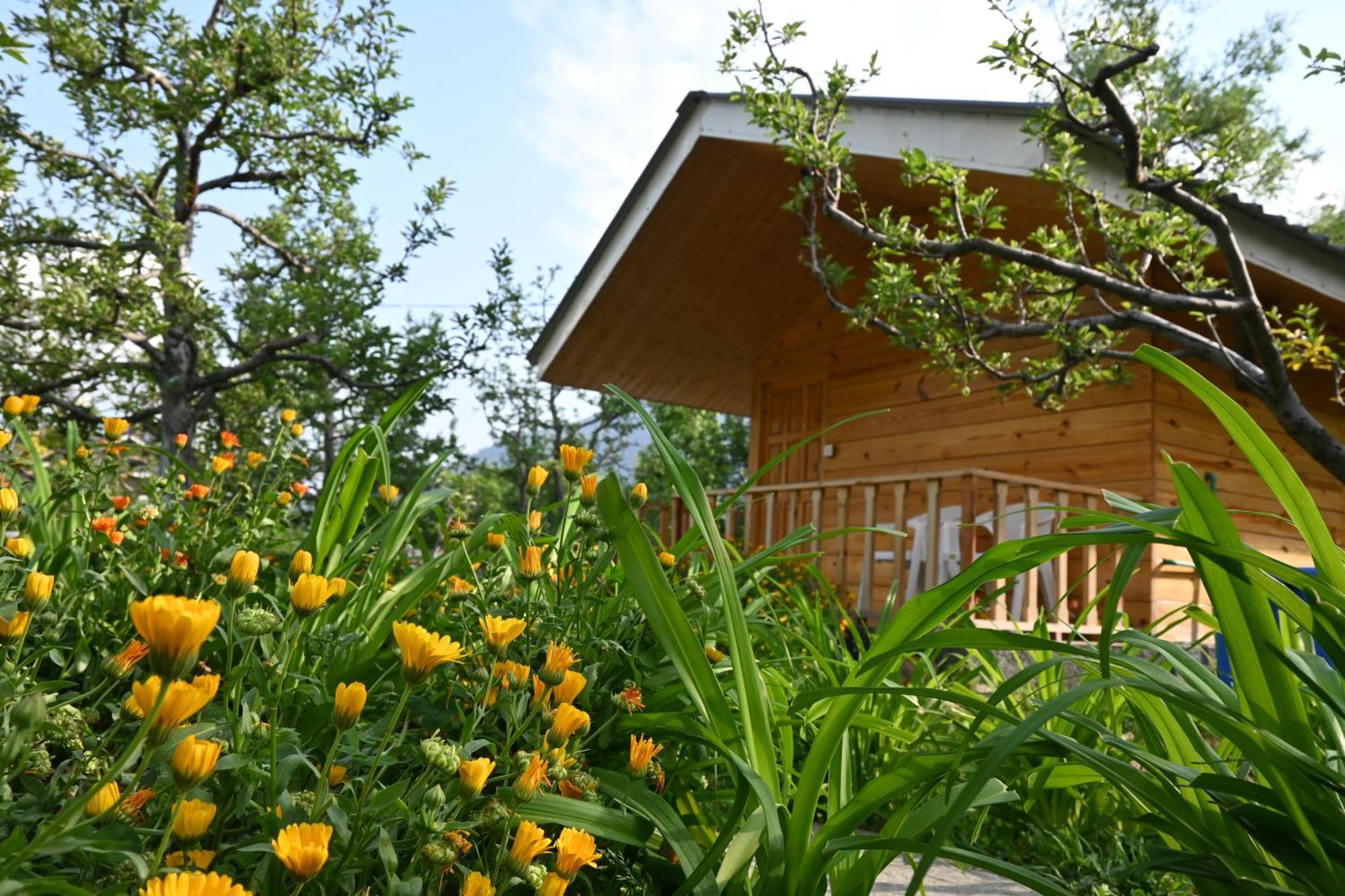 Cascade Mountain Retreat Manali住宿加早餐旅馆 外观 照片
