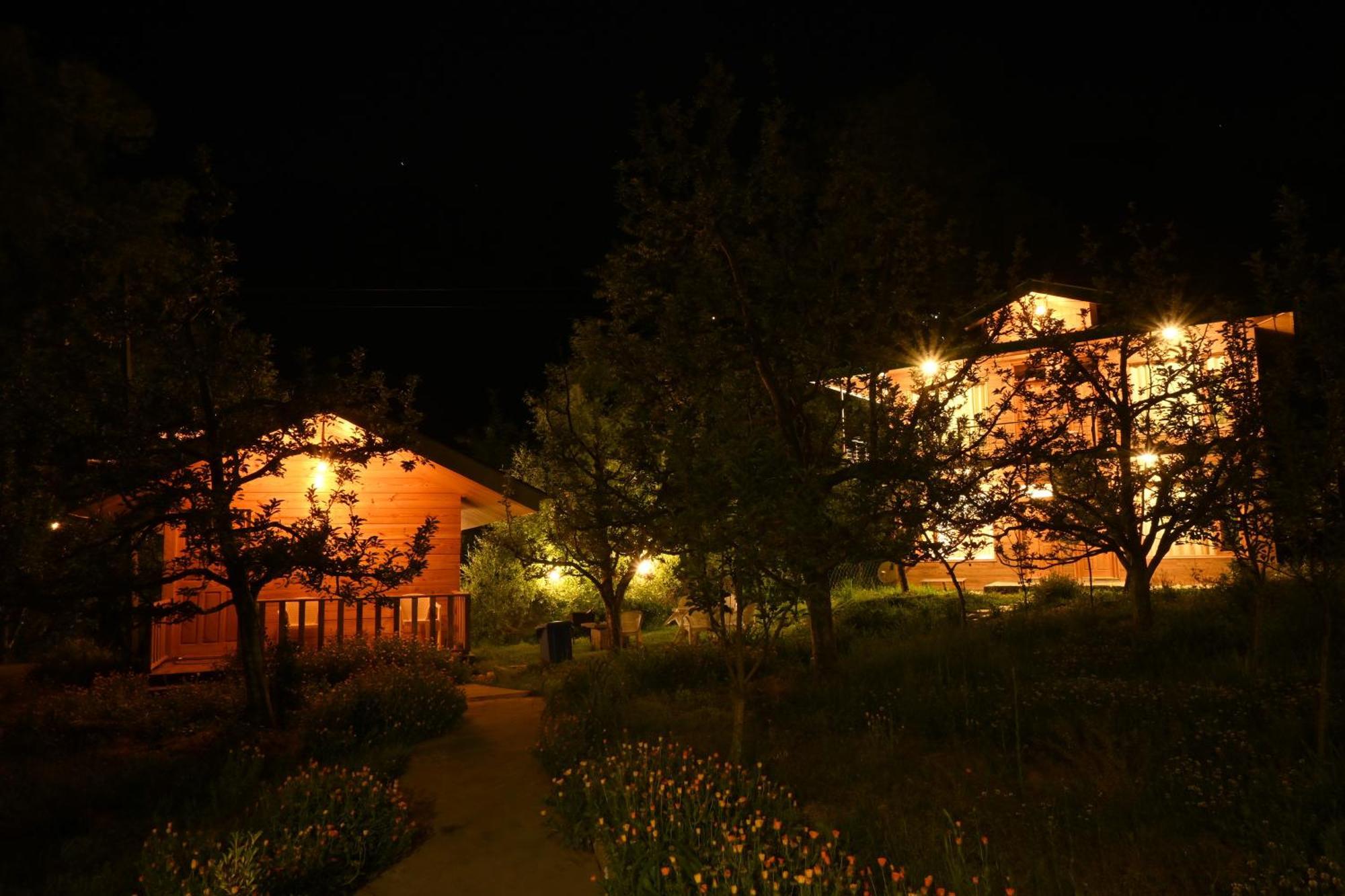 Cascade Mountain Retreat Manali住宿加早餐旅馆 外观 照片