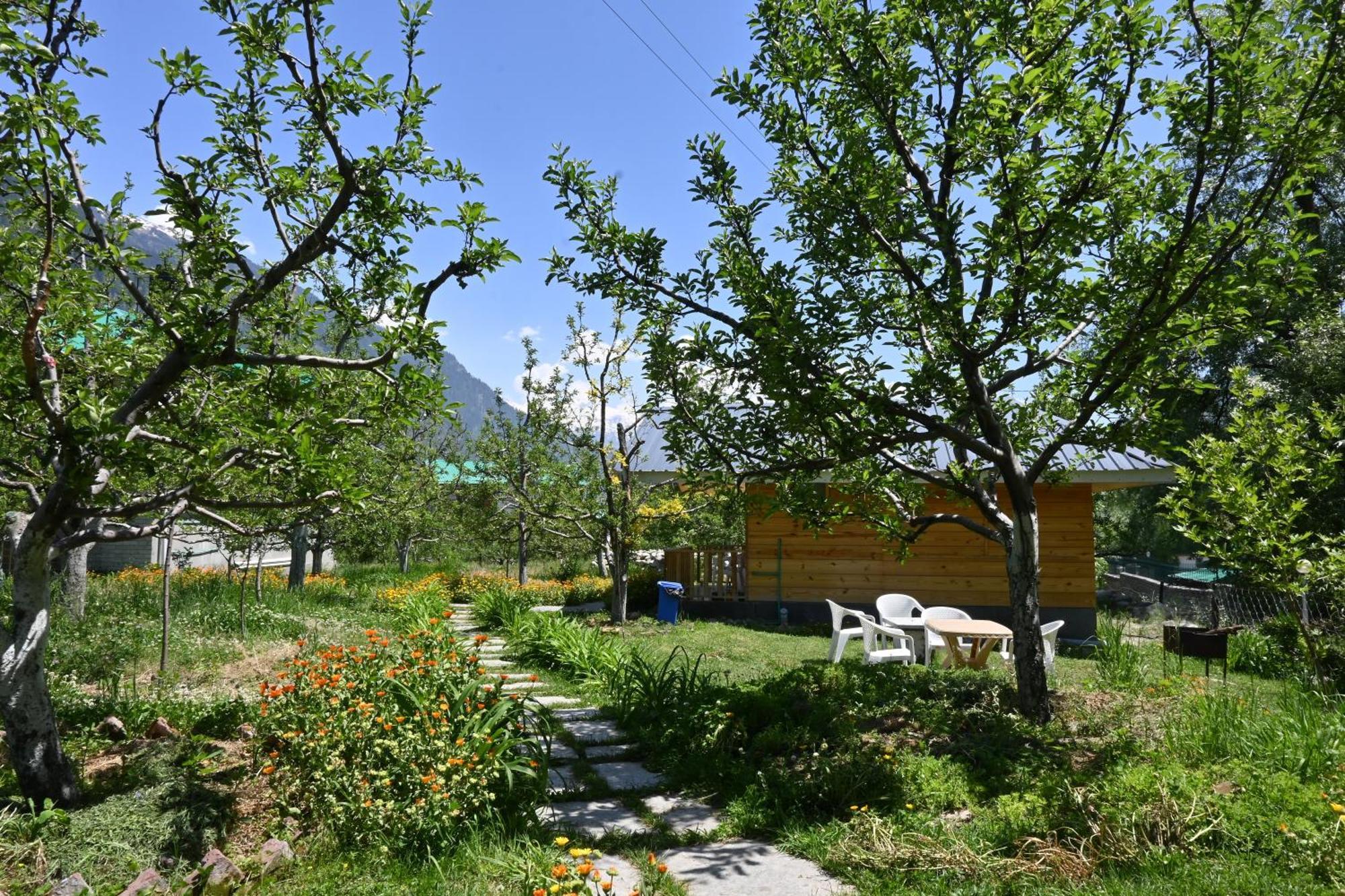 Cascade Mountain Retreat Manali住宿加早餐旅馆 外观 照片