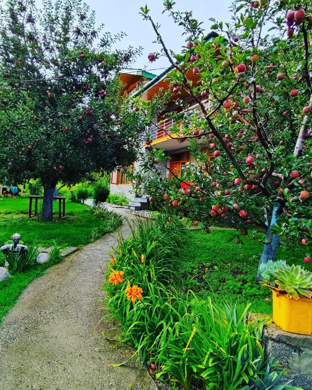 Cascade Mountain Retreat Manali住宿加早餐旅馆 外观 照片